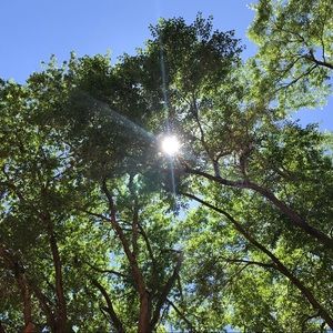 Meet your Posher, Kristal